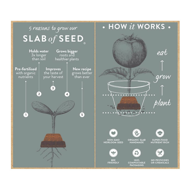 Sow Delicious Planting Chocolate Pure Basil about