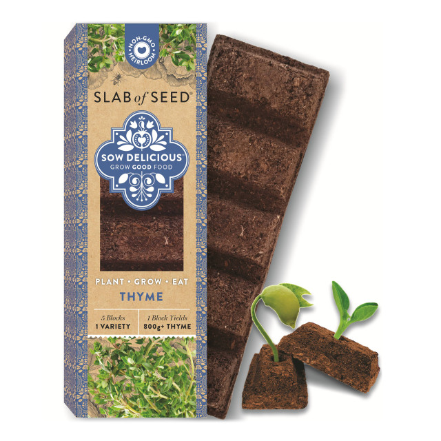 Sow Delicious Planting Chocolate Pure Thyme