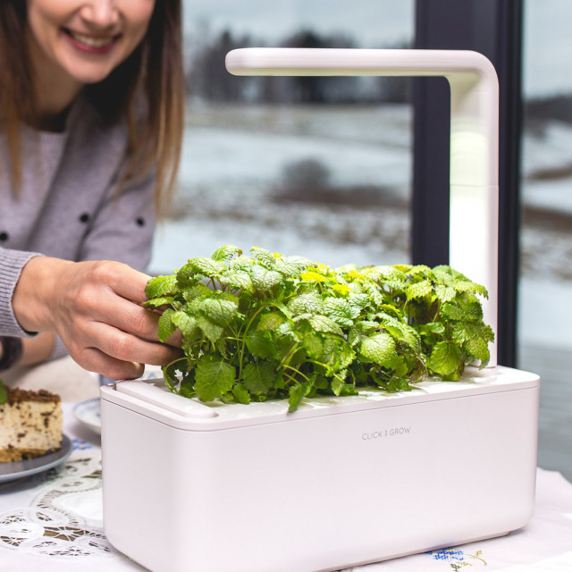 Click & Grow Smart Garden 3 Indoor Gardening Kit picking mint leaves