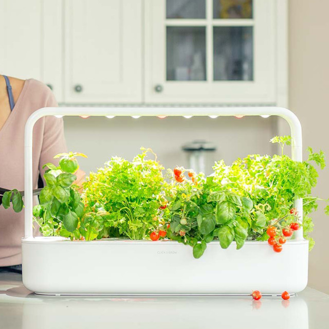 Click & Grow Smart Garden 9 Indoor Gardening Kit on the kitchen counter