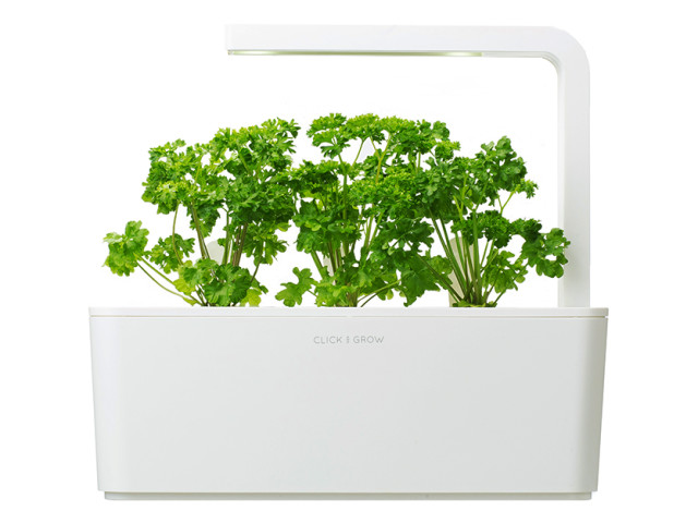 Lifestyle image of Click & Grow Parsley Seed Pod Refill for Smart Garden, Pack of 3