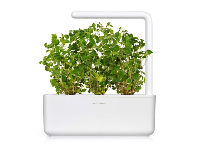 Lifestyle image of Click & Grow Oregano Seed Pod Refill for Smart Garden, Pack of 3