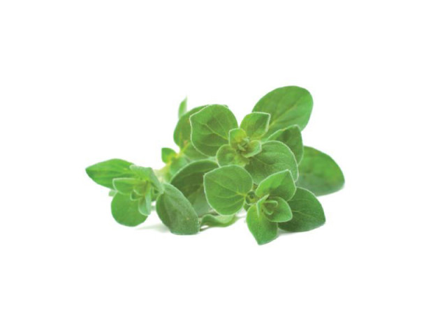 Detail image of Click & Grow Oregano Seed Pod Refill for Smart Garden, Pack of 3