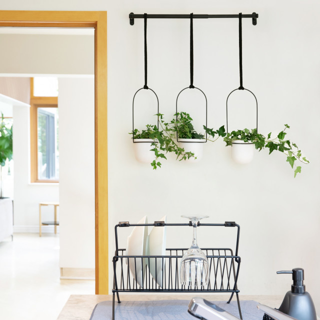 Lifestyle image of Umbra Triflora Hanging Planter