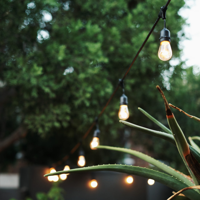 Hoi Ploy Black String Lights