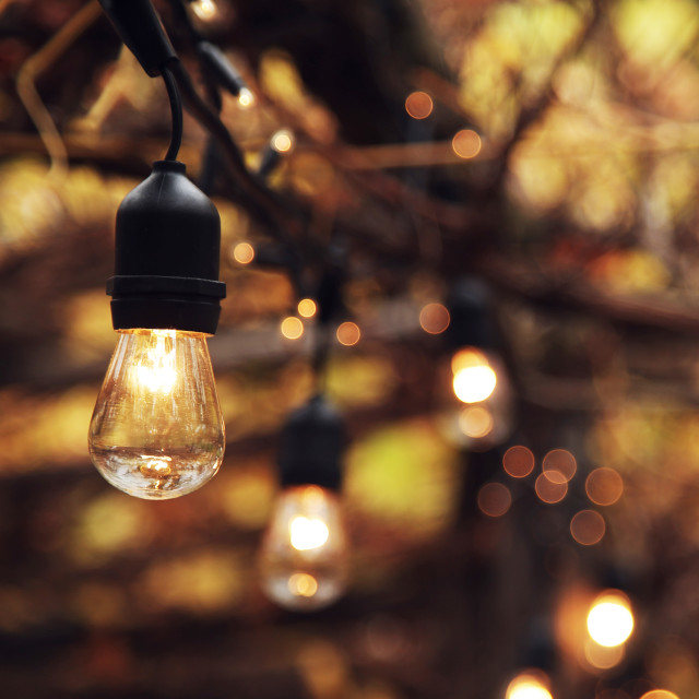Hoi Ploy Black String Lights