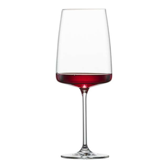 Schott Zwiezel Vivid Senses Flavoursome & Spice Wine Glasses, Set of 2"