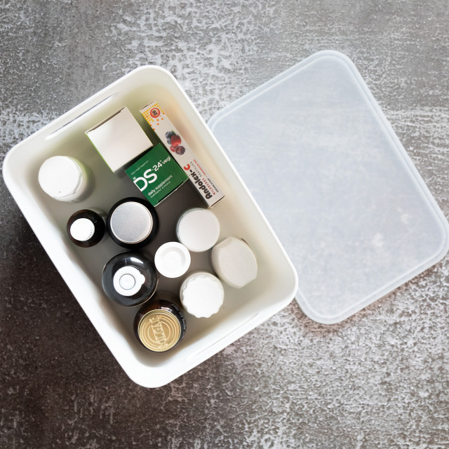 Trendz Of Today Storage Bin With Lid - Small in use