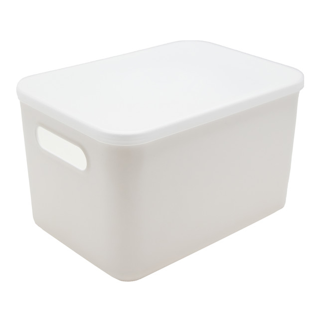 Trendz Of Today Storage Bin With Lid - Small product shot