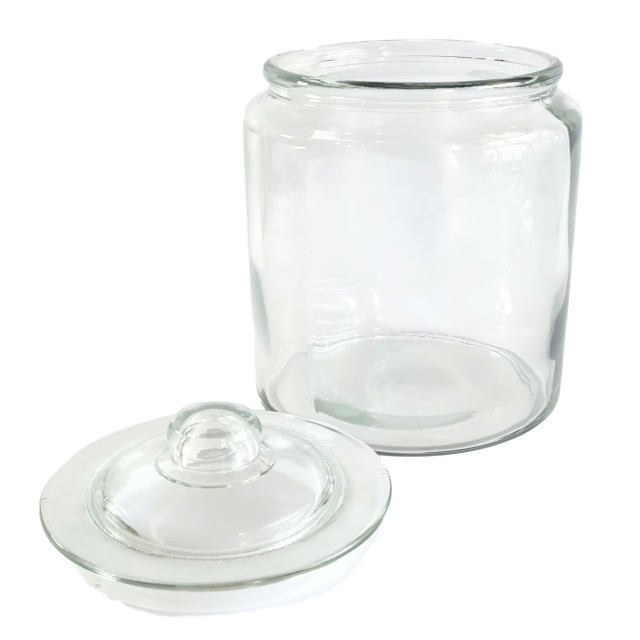 Trendz Of Today Glass Gallon Storage Jar - 3.8L detail shot