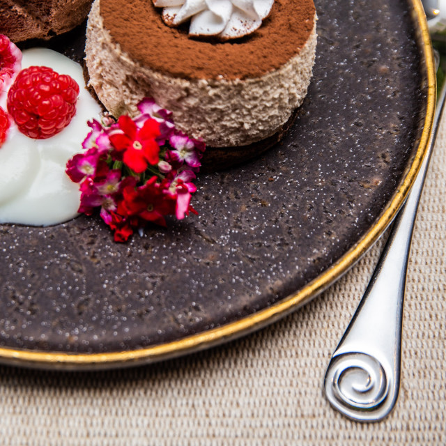 Vista Alegre Gold Stone Stoneware Starter or Dessert Plates, Set of 4 in use