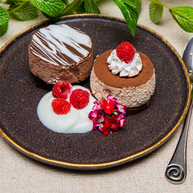 Vista Alegre Gold Stone Stoneware Starter or Dessert Plates, Set of 4 in use