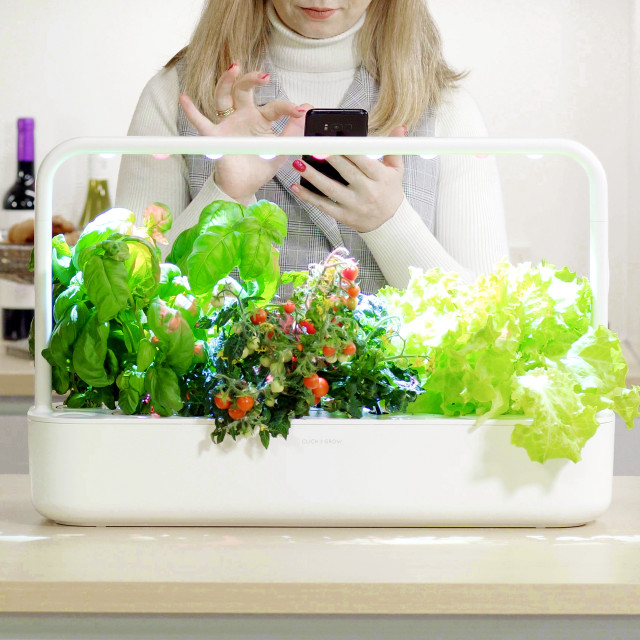 Click & Grow Smart Garden 9 Pro Indoor Gardening Kit in use
