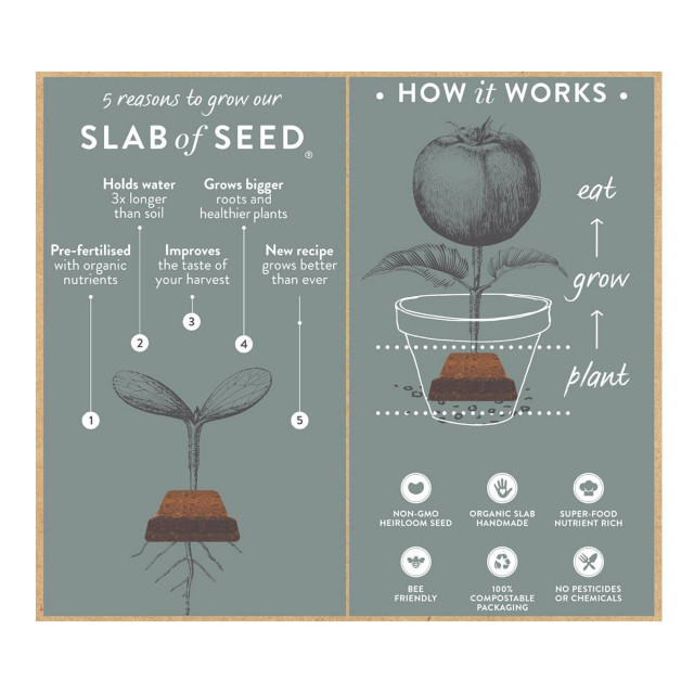 Sow Delicious Planting Chocolate Pure Rocket Detail