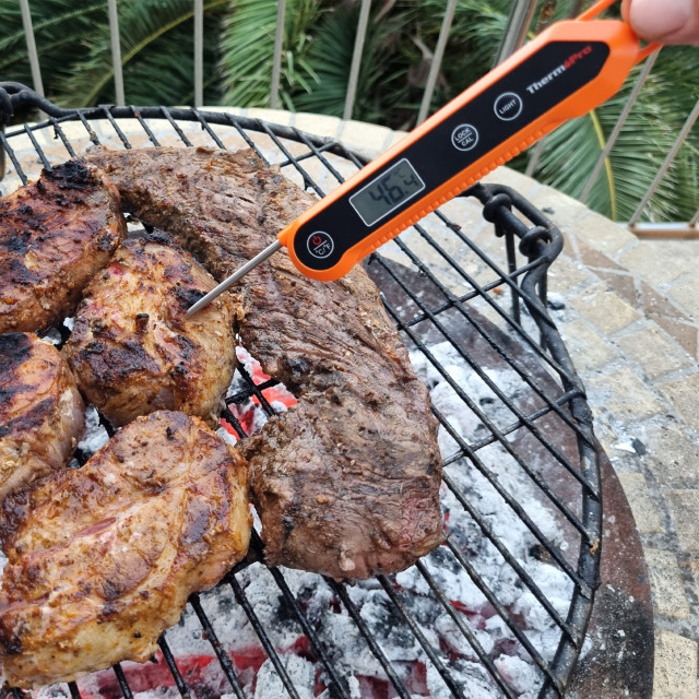 ThermoPro Instant Read Swivel Probe Product In Use