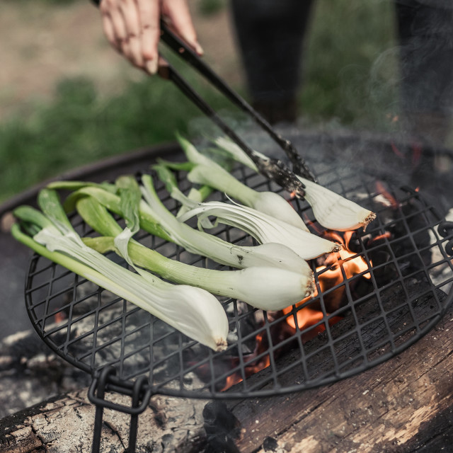 Barebones Circular Fire Pit Grill Grate in use