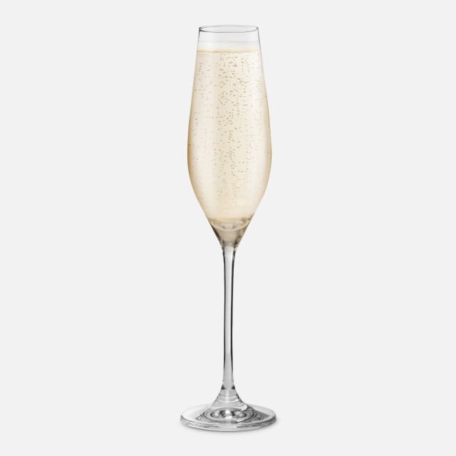 Yuppiechef Classic Champagne Flute