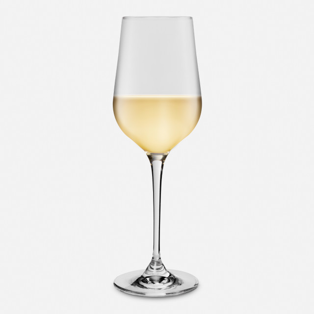 Yuppiechef Modern White Wine Glass