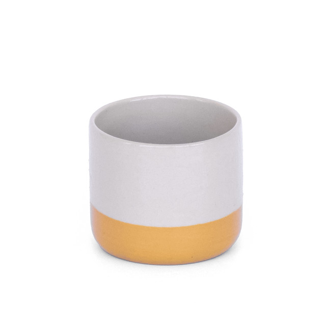 Ash Ceramics Cortado Tumbler, 145ml - Golden Yellow