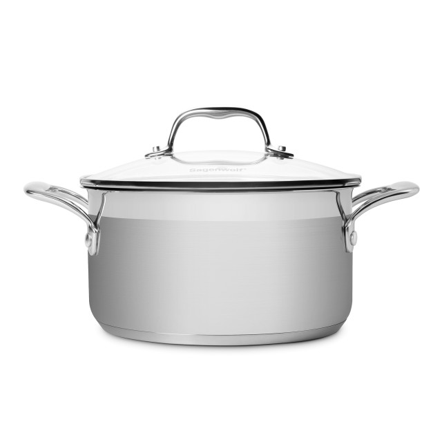 Sagenwolf Silver Series Stainless Steel Casserole Pot with Glass Lid - 20cm angle