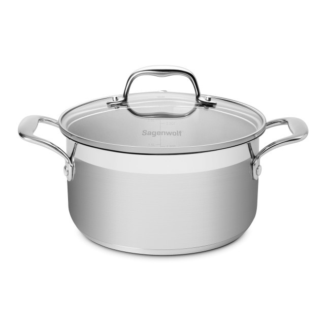 Sagenwolf Silver Series Stainless Steel Casserole Pot with Glass Lid - 20cm