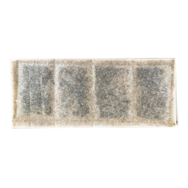 MicroGarden Microgreens Mustard Yellow Seeded Grow Pads Refill, Pack of 5 detail of the pad