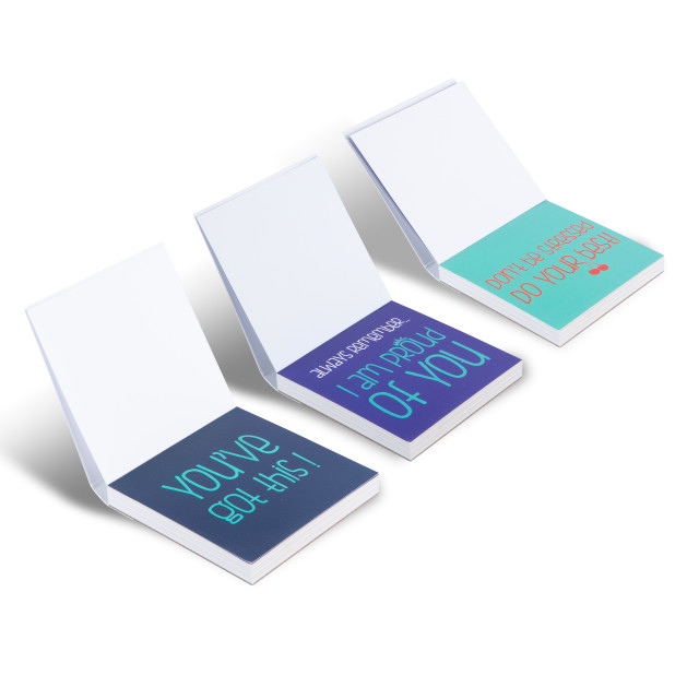Crunchbox Little Lunchbox Notes angle of notes
