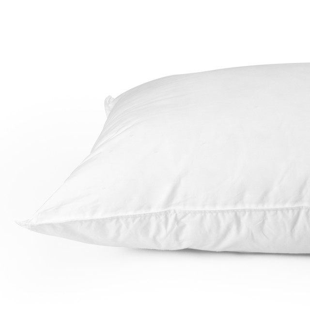 Thread Office Premium Hypoallergenic Microfibre Pillow Inner - Standard close up of piping