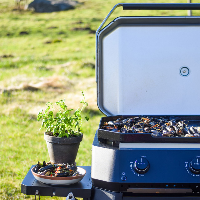 Cozze 2 Burner Gas Plancha 600 with Lid