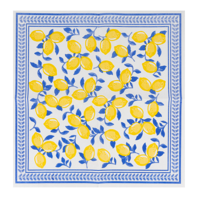 Tavola Amalfi Biodegradable Napkins, Pack of 25 detail