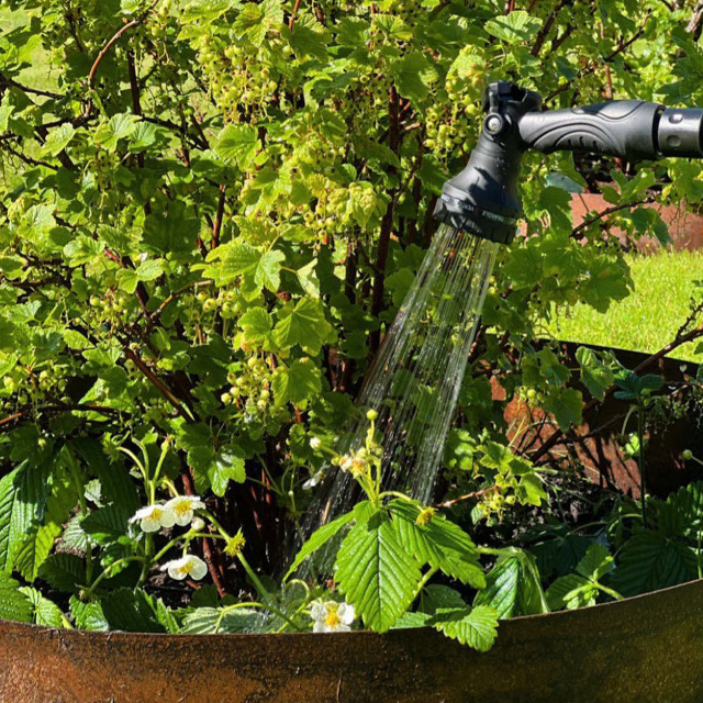 By Benson Premium Spray Gun for Hose