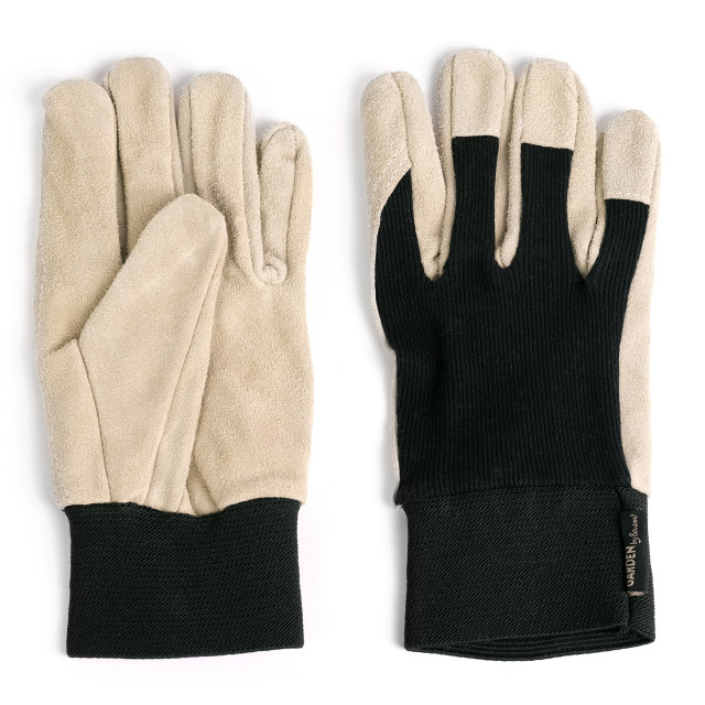 By Benson Deluxe Garden Glove, Set of 2 - Large