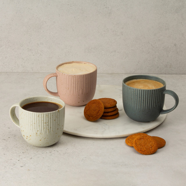 Salisbury & Co Collective Speckled Mug, 400ml