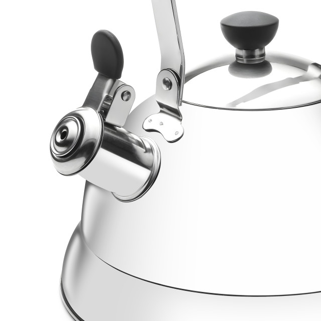 Sagenwolf Stainless Steel Stovetop Kettle, 3L front close up