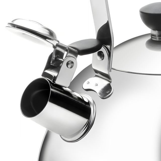 Sagenwolf Stainless Steel Stovetop Kettle, 3L front close up