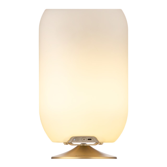 Kooduu Atmos Brass Silver All-In-One Wine Cooler Speaker & Lamp - Brass angle