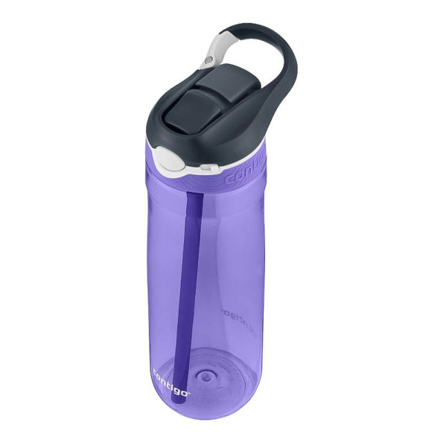 Contigo Ashland Autospout Tritan Bottle, 720ml - Grapevine angle