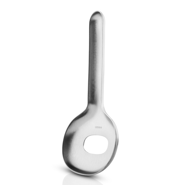 ice Scoop