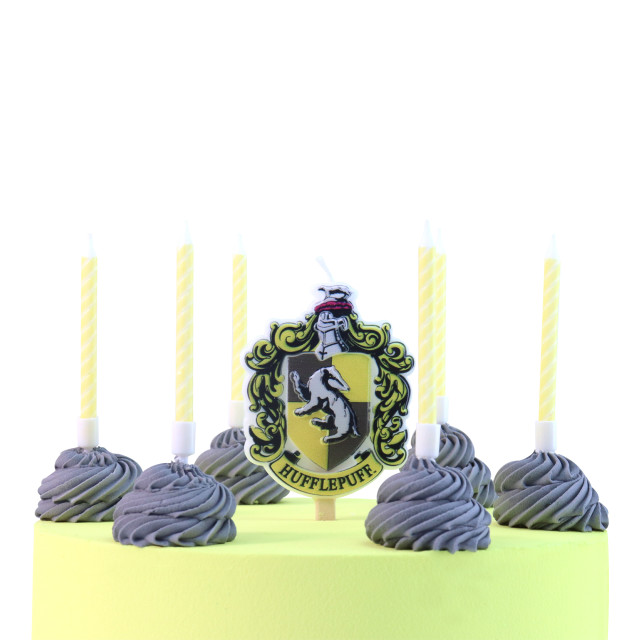 PME Harry Potter Houses Candles, Set of 7 - Hufflepuff detail