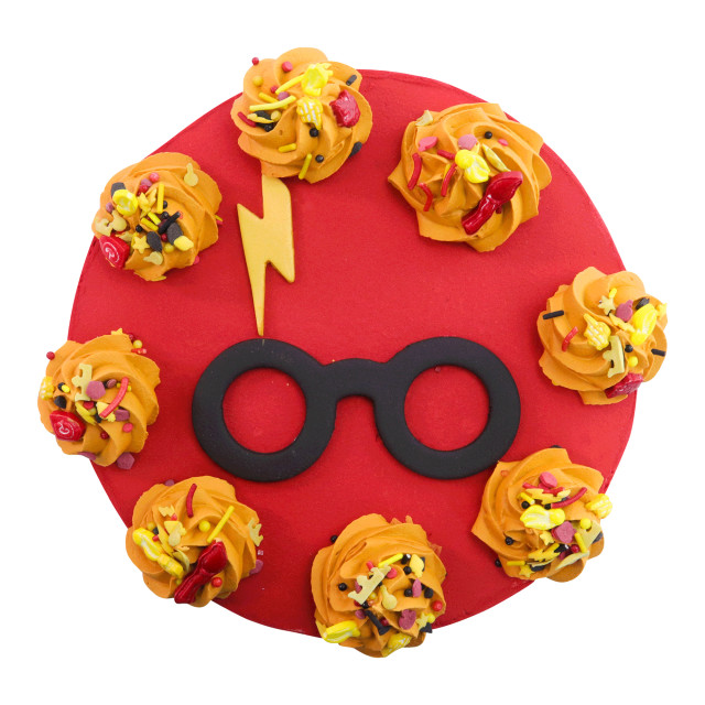 PME Harry Potter Hogwarts Houses Sprinkle Giftbox, Set of 4 detail