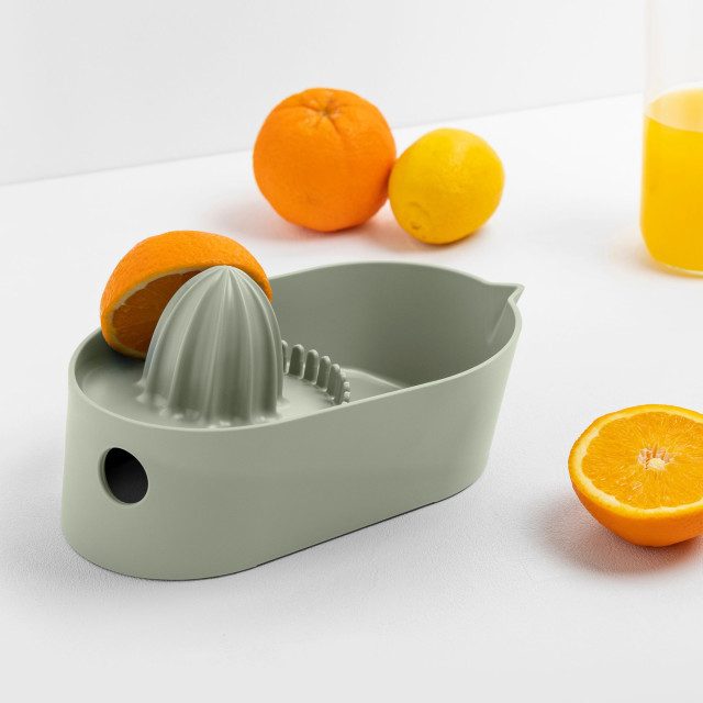 Blim Plus Oblo Juicer - Forest Medium on the table