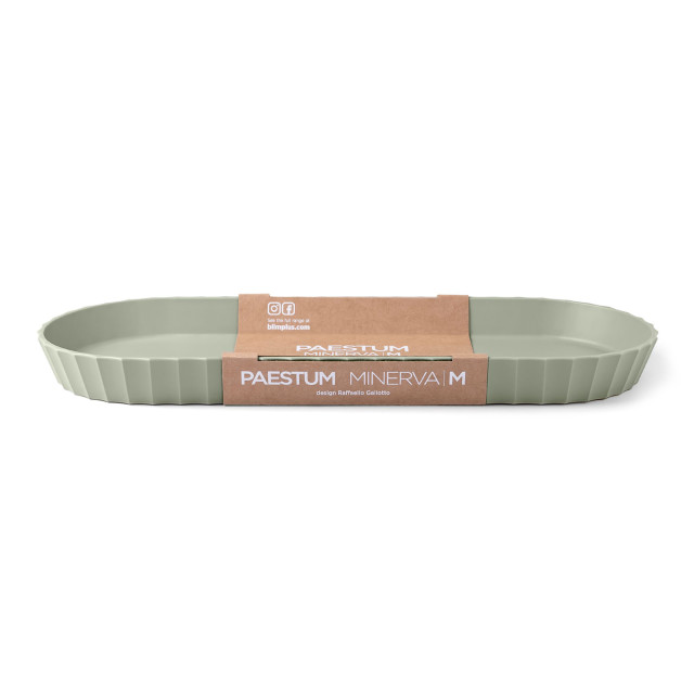 Blim Plus Minerva Medium Tray - Forest Medium packaging