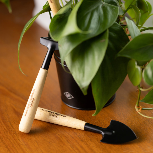 Gentlemens Hardware Mini Gardening Tools with a plant on the table