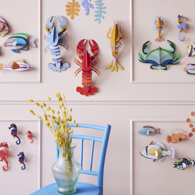 Studio ROOF Clown Triggerfish Wall Decor on the wall with other designs