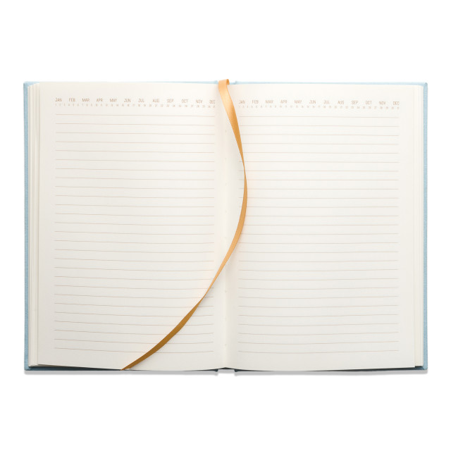 Designworks Ink Suedette Hardcover Journal - Blue detail of the pages