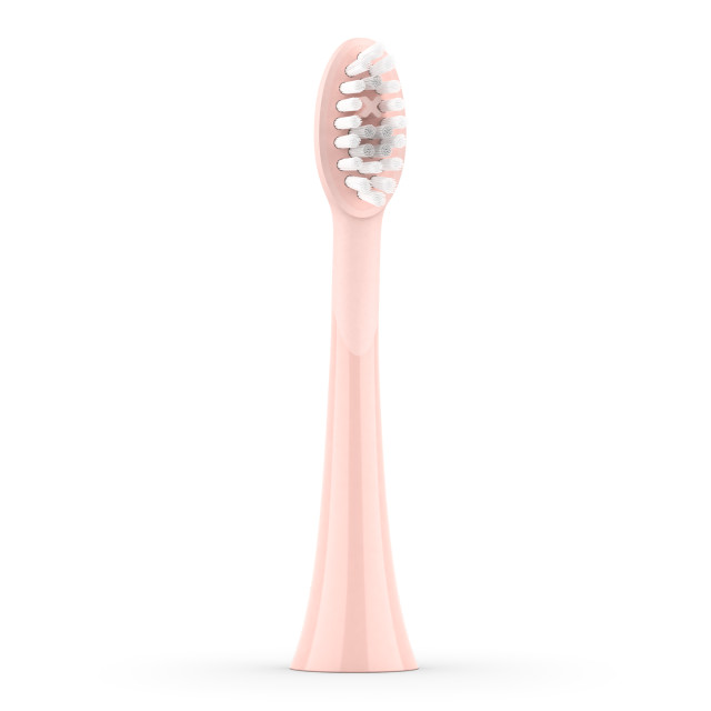 Ordo Sonic Brush Head, Pack of 2 - Rose Gold showing the product at an angle