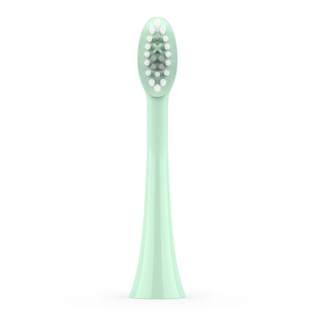 Ordo Sonic Brush Heads, Pack of 2 - Mint Green angle