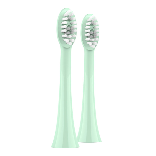 Ordo Sonic Brush Heads, Pack of 2 - Mint Green