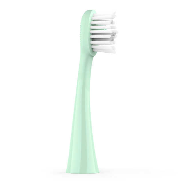 Ordo Sonic Brush Heads, Pack of 2 - Mint Green angle