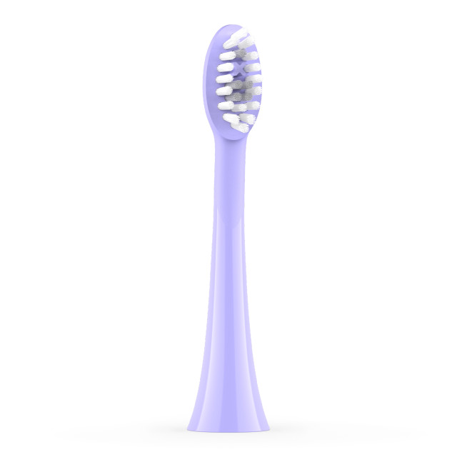 Ordo Sonic Brush Head, Pack of 2 - Pearl Violet showing the product at an angle